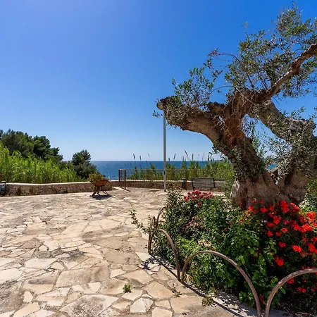 L'attico Di Michela - Terrazza Sul Mare Apartment *